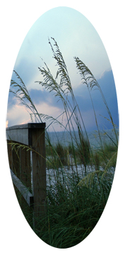 Boardwalk